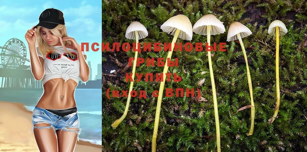 герыч Аркадак
